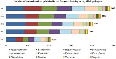 Inhibiting Bacterial Drug Efflux Pumps via Phyto-Therapeutics to Combat Threatening Antimicrobial Resistance